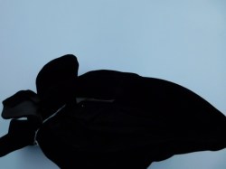 betmar black velvet bow good view